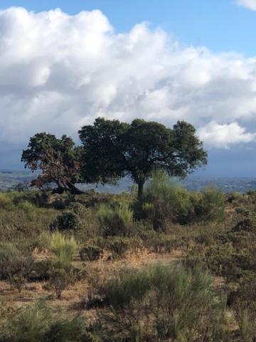 Vila 3 Marias Da Fonte Lousã Exteriér fotografie